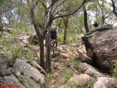20070114-Coba 217 